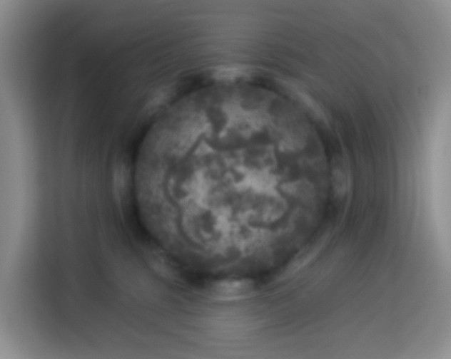 X0000114130375200910081249