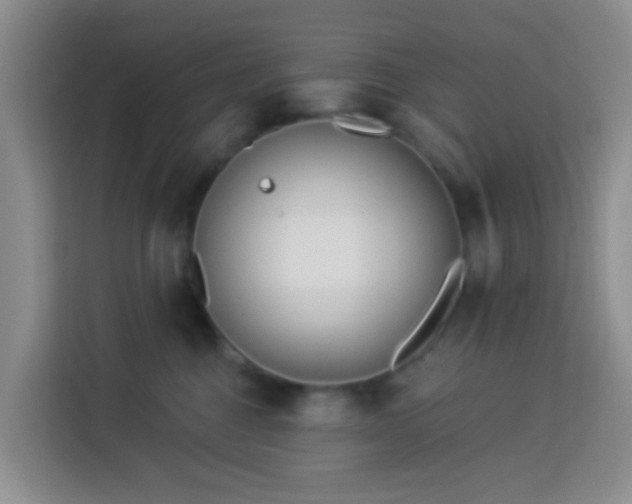 X0000114130376200910081249