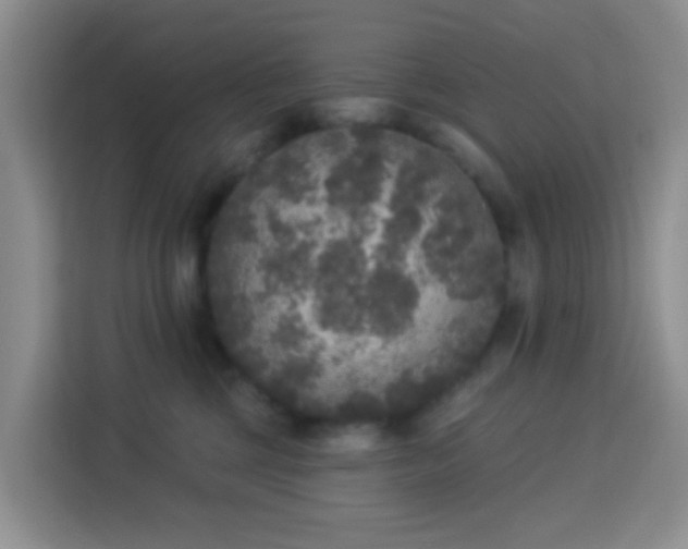 X0000114130377200910081249