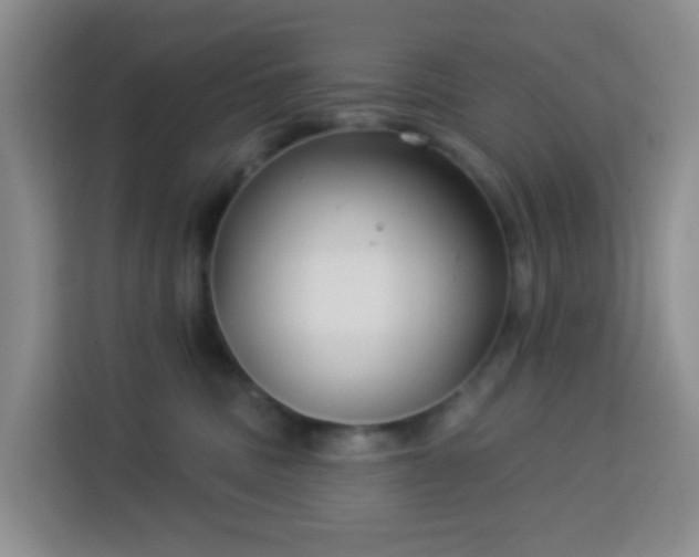 X0000114130379200910081249