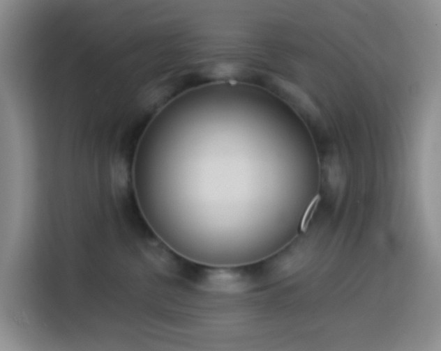 X0000114130380200910081249
