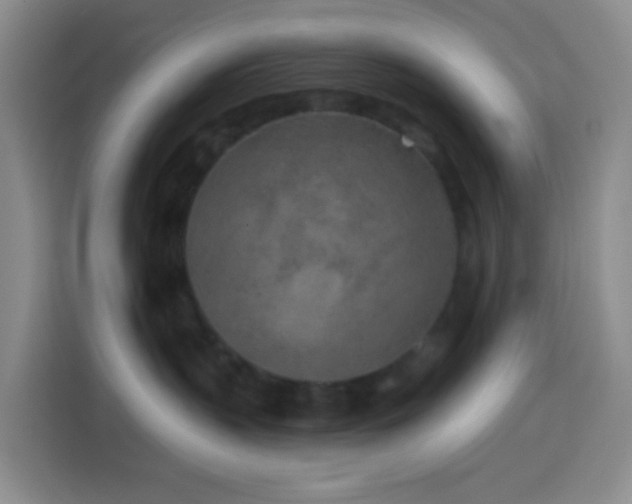 X0000114130383200910081249