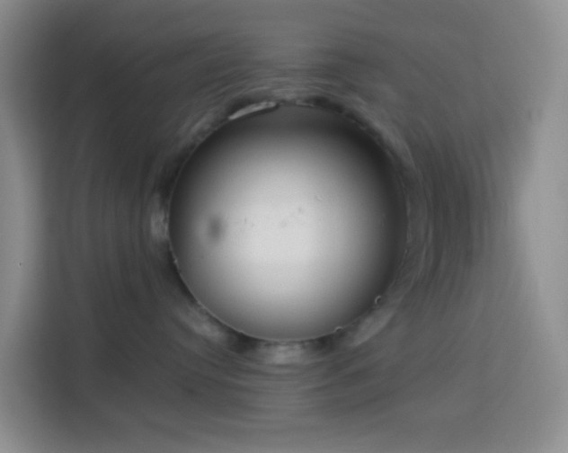 X0000114130384200910081249