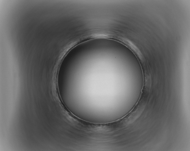 X0000114130385200910081249