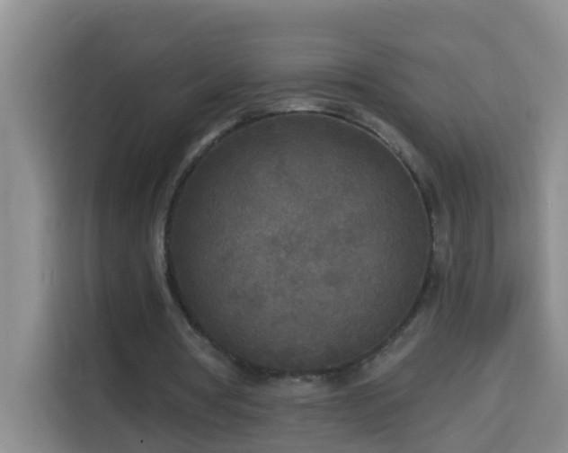 X0000114130386200910081249
