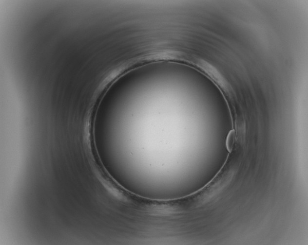 X0000114130389200910081249