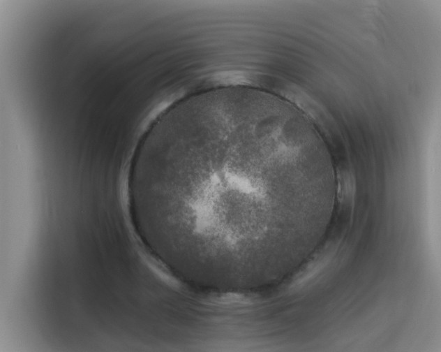 X0000114130390200910081248