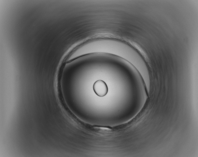 X0000114130391200910081248