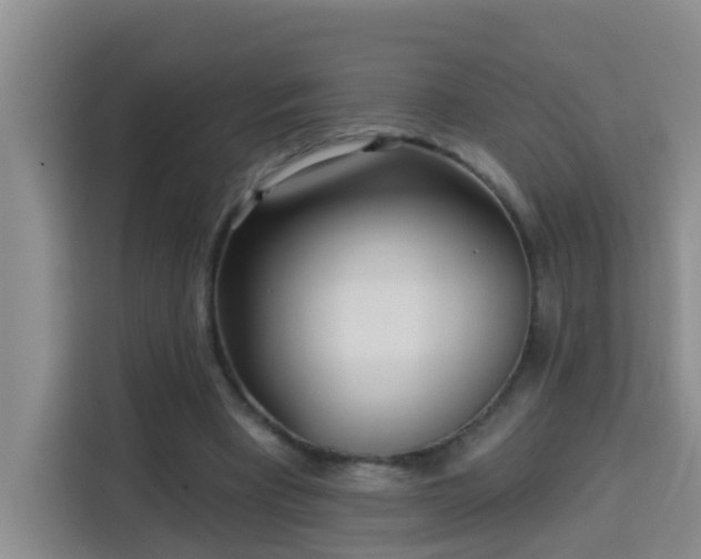 X0000114130393200910081248