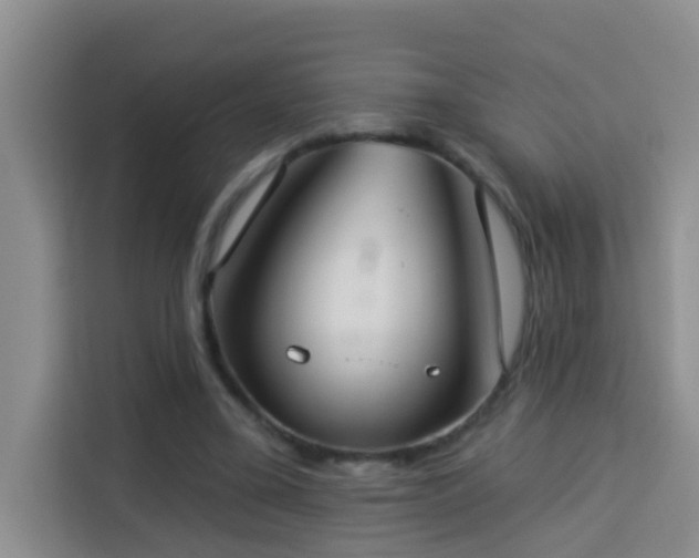 X0000114130395200910081248