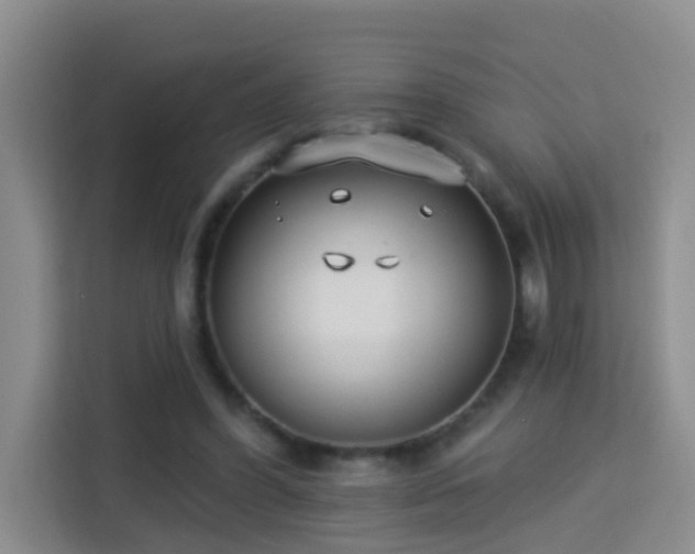 X0000114130396200910081248