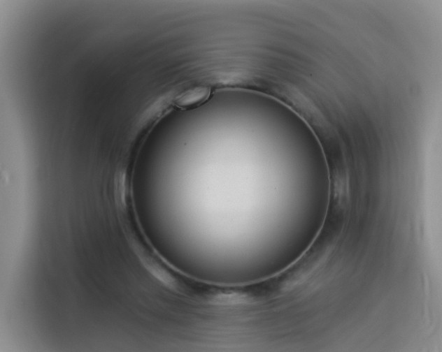 X0000114130397200910081248