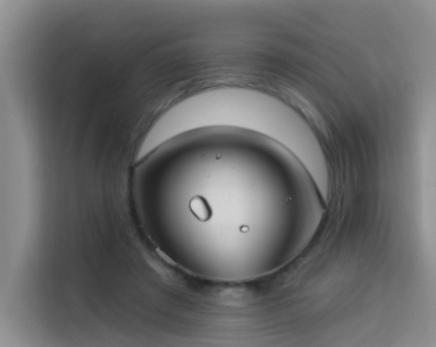 X0000114130401200910081248