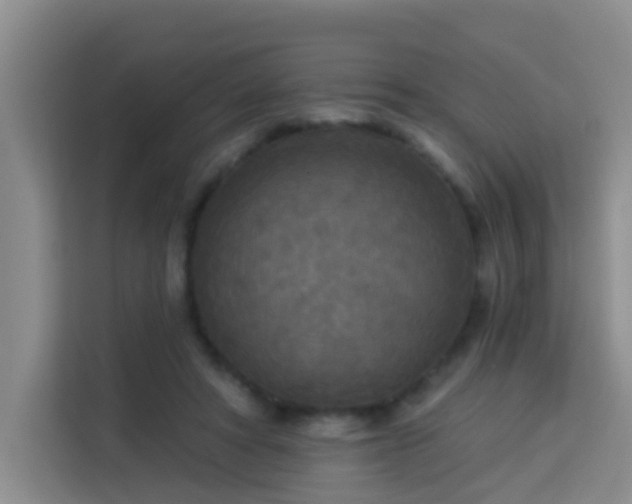 X0000114130402200910081248