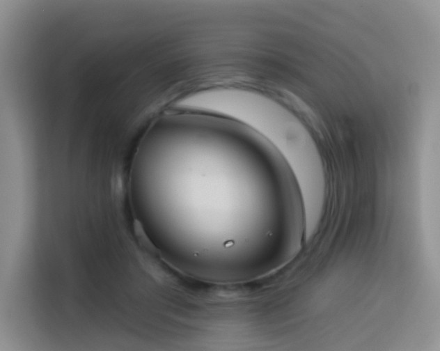 X0000114130405200910081248