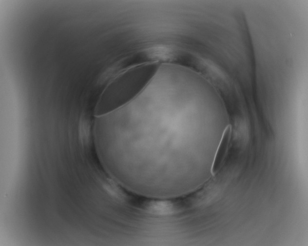 X0000114130409200910081248
