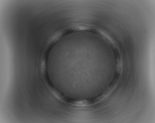 X0000114130410200910081248