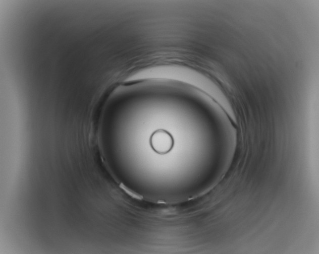 X0000114130411200910081248