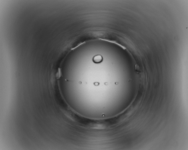 X0000114130412200910081248