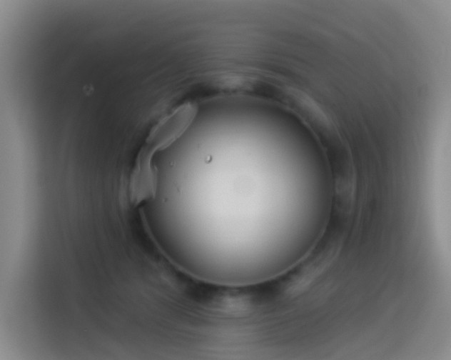 X0000114130416200910081248