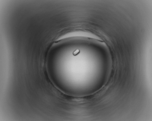 X0000114130417200910081248