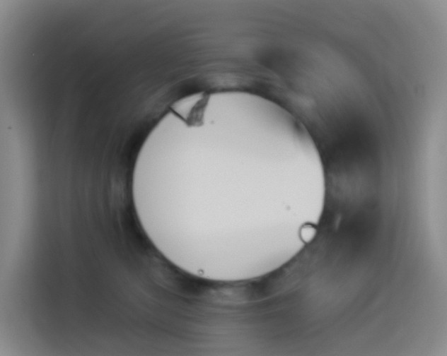 X0000114130422200910081248