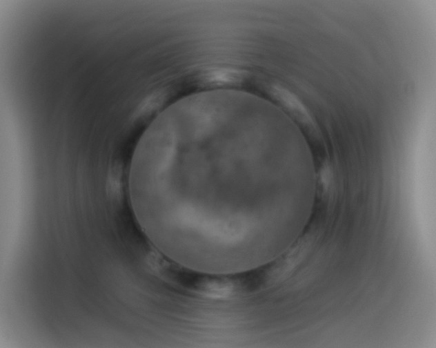X0000114130423200910081248