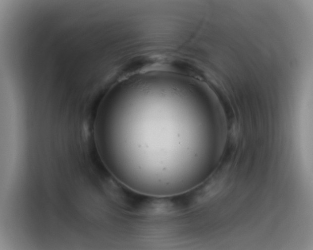 X0000114130424200910081248