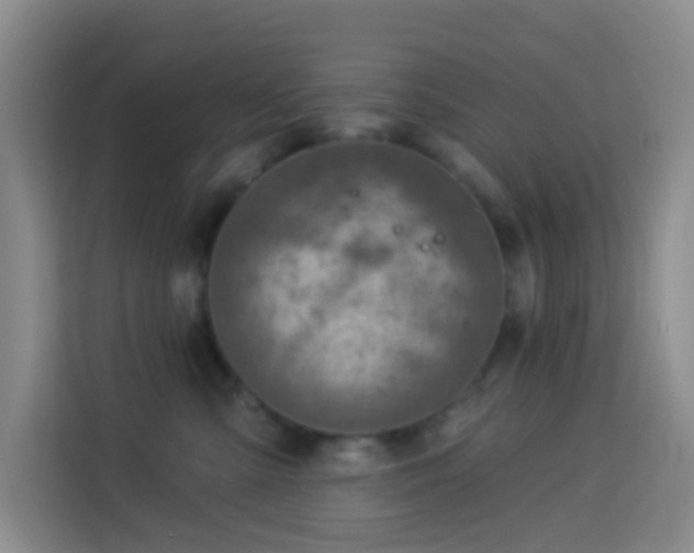 X0000114130427200910081248
