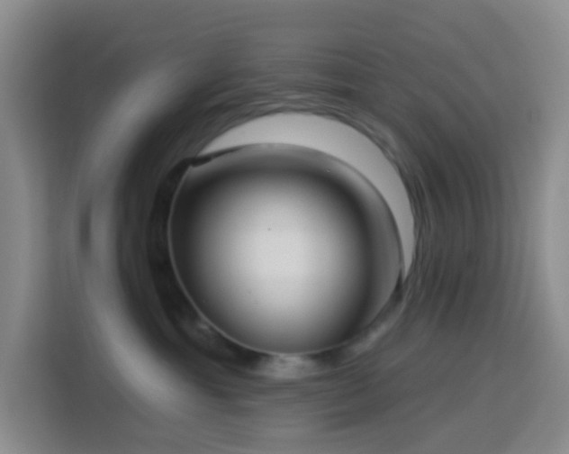 X0000114130429200910081248