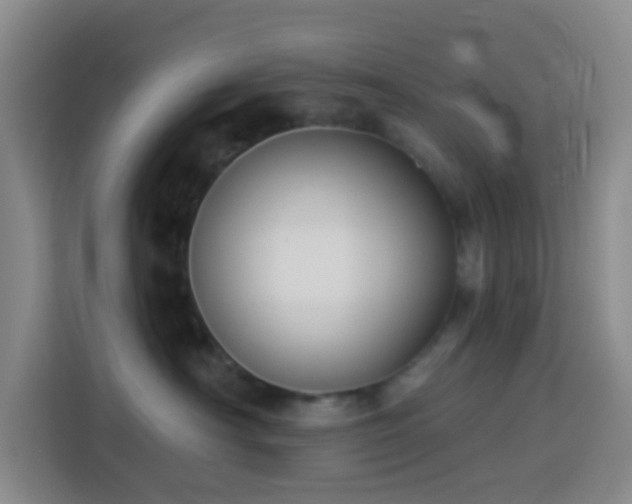 X0000114130430200910081248