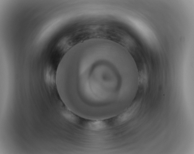 X0000114130431200910081248