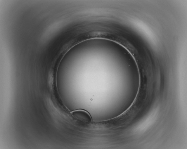X0000114130435200910081247