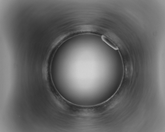 X0000114130436200910081247