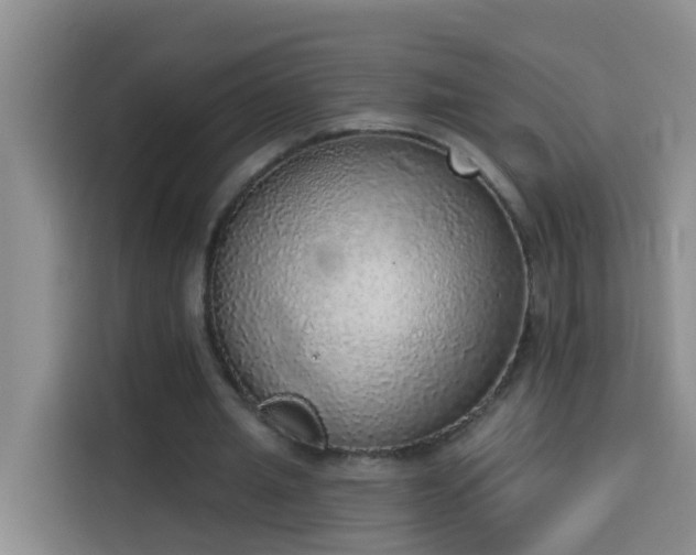 X0000114130437200910081247