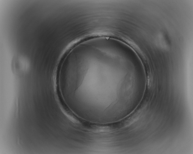 X0000114130438200910081247