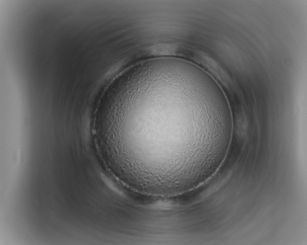 X0000114130441200910081247