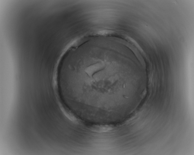 X0000114130443200910081247