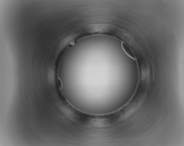 X0000114130444200910081247