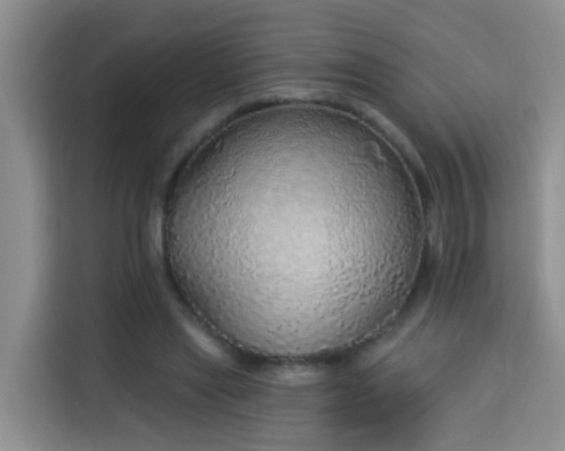 X0000114130445200910081247