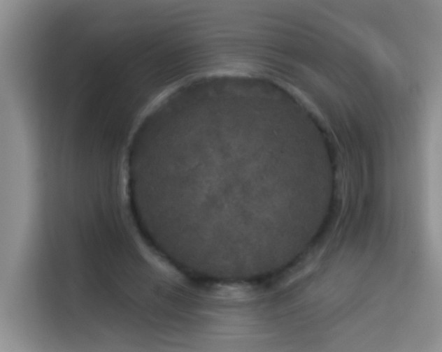 X0000114130446200910081247