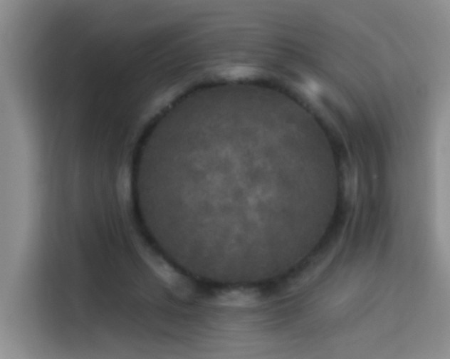 X0000114130447200910081248