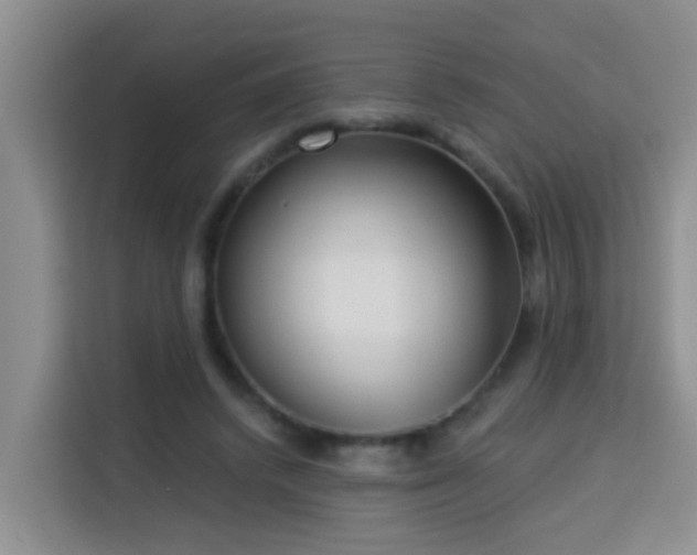 X0000114130448200910081248