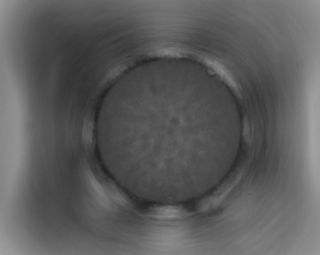 X0000114130449200910081248