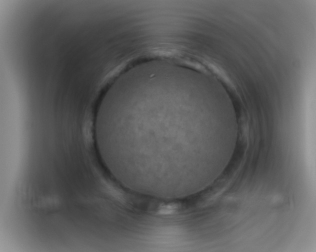 X0000114130450200910081248