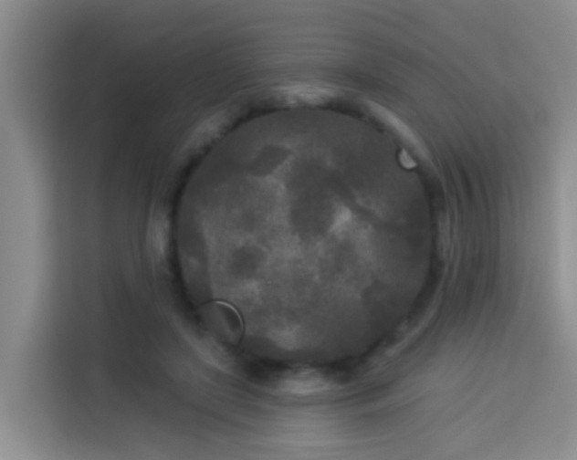 X0000114130451200910081248