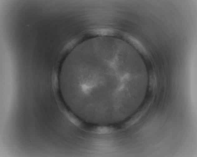 X0000114130453200910081248