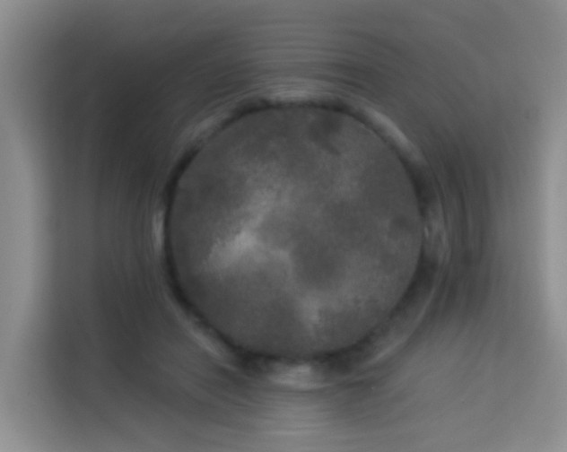X0000114130454200910081248