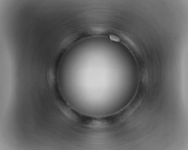 X0000114130455200910081248