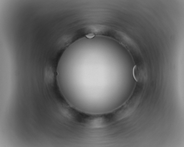 X0000114130456200910081248
